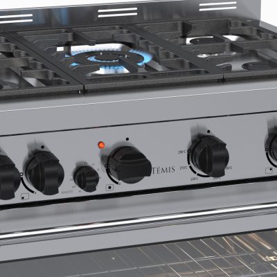 17950011962-1 Fogao 5 Bocas Venax Temis Inox Gas GLP
